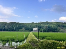 detached 旭川市神居町富沢199番地4