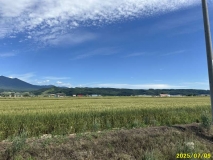  空知郡上富良野町